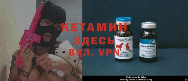 шишки Бронницы