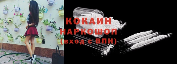 шишки Бронницы