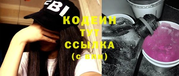 шишки Бронницы