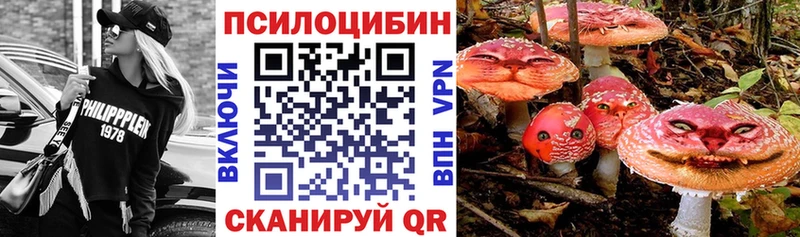 наркота Губкинский darknet официальный сайт Псилоцибиновые грибы GOLDEN TEACHER
